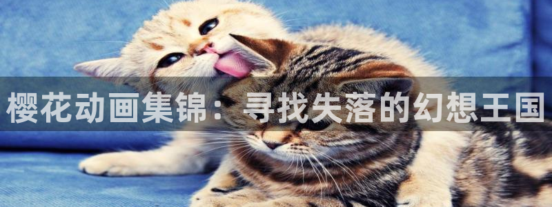 omofun动漫app下载：樱花动画集锦：寻找失落的幻想王国