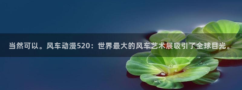 omofun动漫官方正版入口：当然可以。风车动漫520：世界最大的风车艺术展吸引了全球目光。