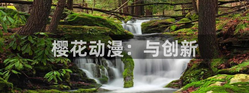 o站歪歪漫画：樱花动漫：与创新