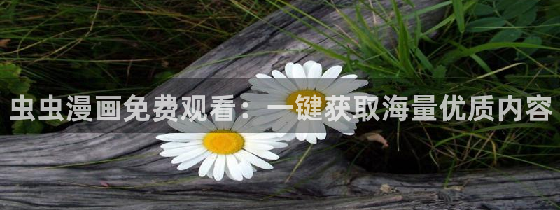 age动漫omofun：虫虫漫画免费观看：一键获取海量优质内容