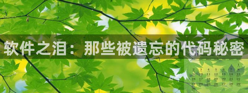 omofun.cim：软件之泪：那些被遗忘的代码秘密