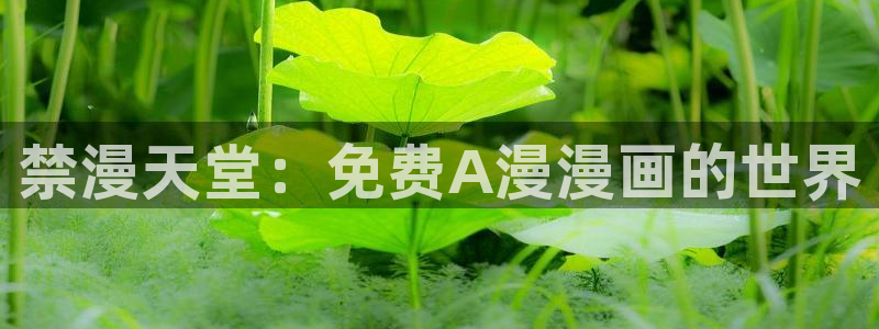 歪歪漫画地址下载：禁漫天堂：免费A漫漫画的世界