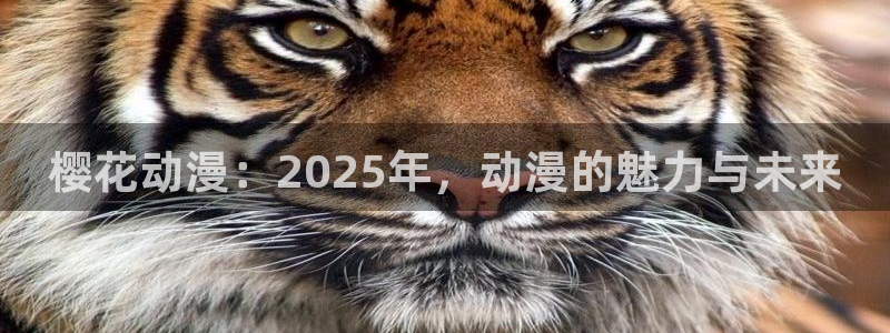 omofun\\：樱花动漫：2025年，动漫的魅力与未来