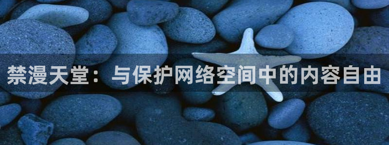 omofun2：禁漫天堂：与保护网络空间中的内容自由