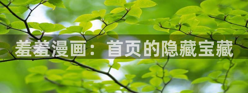 omofun动画：羞羞漫画：首页的隐藏宝藏