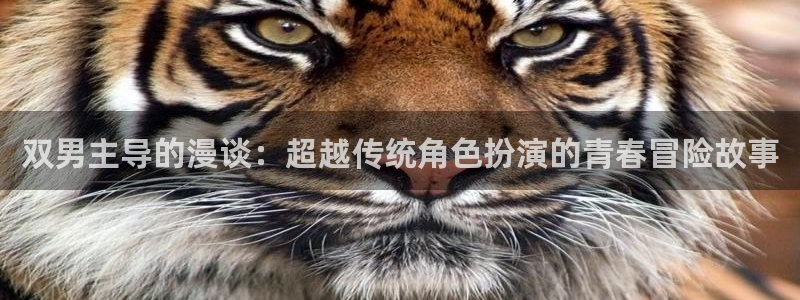 omofun 动漫在线观看免费全集：双男主导的漫谈：超越传统角色扮演的青春冒险故事