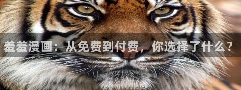 omofun网页：羞羞漫画：从免费到付费，你选择了什么？