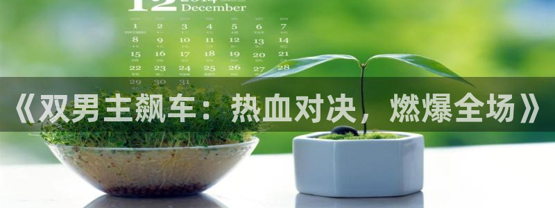omofun.：《双男主飙车：热血对决，燃爆全场》