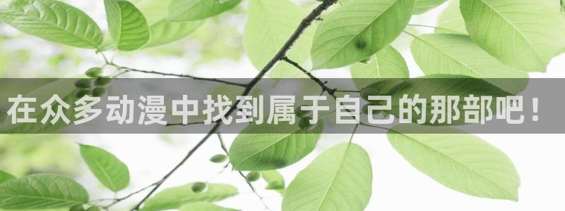 omofun,：在众多动漫中找到属于自己的那部吧！