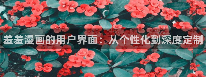 @omofun：羞羞漫画的用户界面：从个性化到深度定制